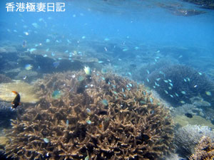 f0190653_972384.jpg
