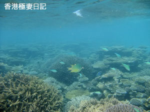 f0190653_97336.jpg