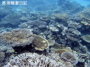 f0190653_97453.jpg