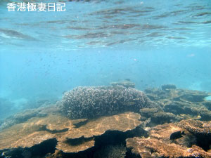 f0190653_975679.jpg