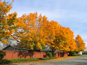 b0090654_1341533.jpg