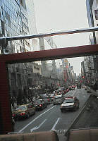 e0113254_10372541.jpg