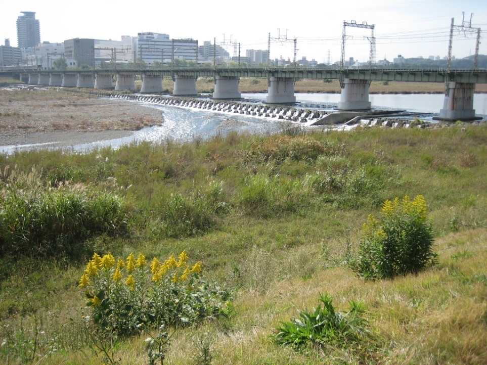 c0214259_2342289.jpg