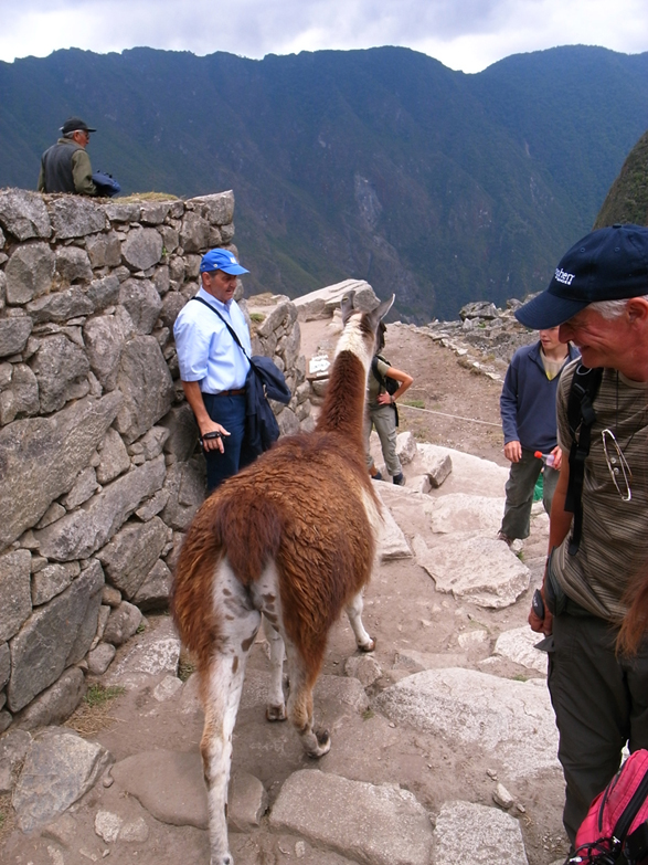 e0167560_759921.jpg