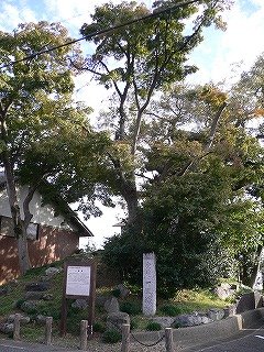 f0106664_1627648.jpg
