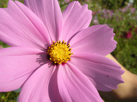 f0186368_00146.jpg