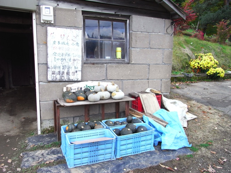 d0005370_18155851.jpg