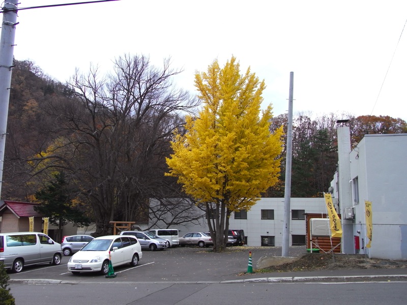 d0005370_1828443.jpg