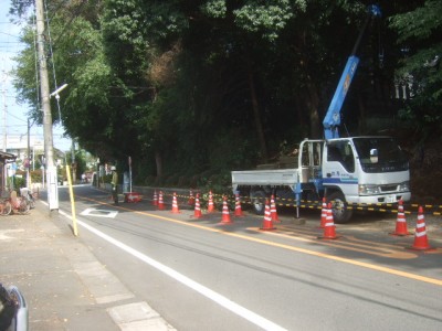 c0112172_11413677.jpg