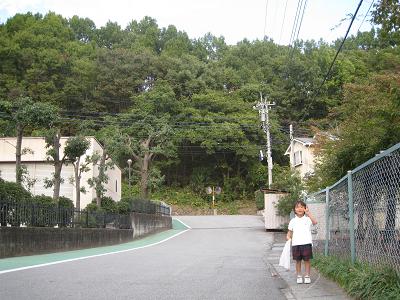 b0120675_1724811.jpg