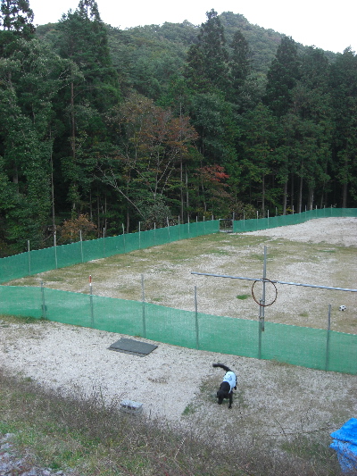 d0116578_17251988.jpg