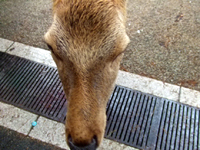 c0051781_2235393.jpg