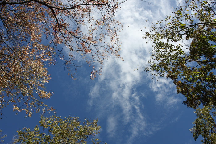 c0130986_80358.jpg
