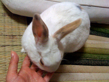 f0201191_19264321.jpg