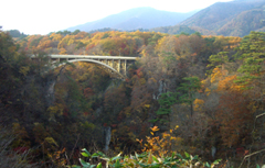 b0099994_1742524.jpg
