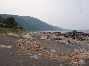 a0125598_20455619.jpg