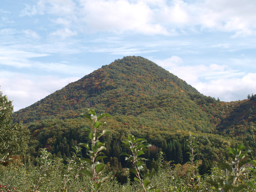 f0108399_2340532.jpg
