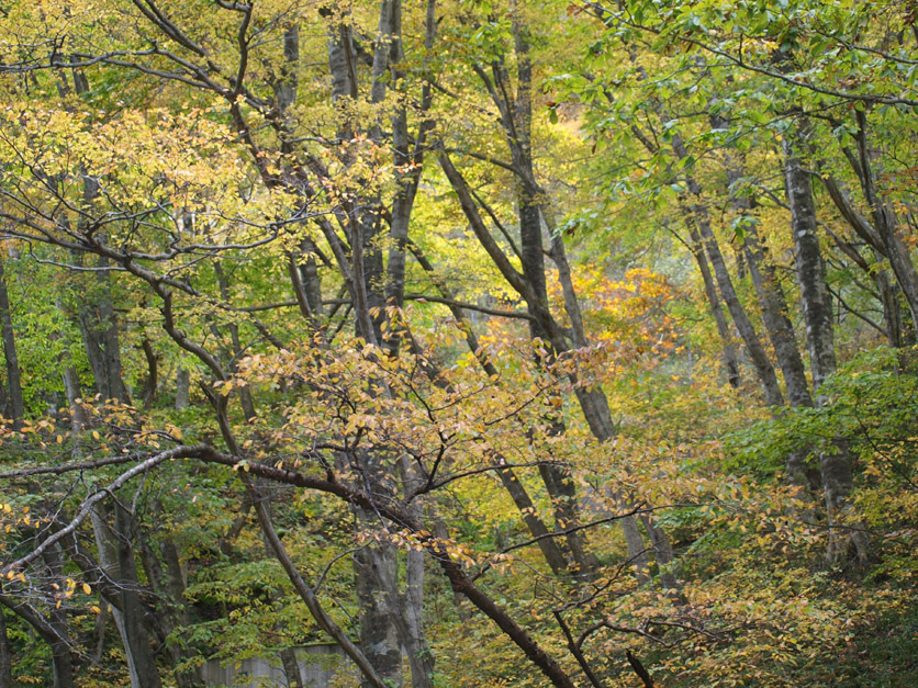f0108399_23432335.jpg