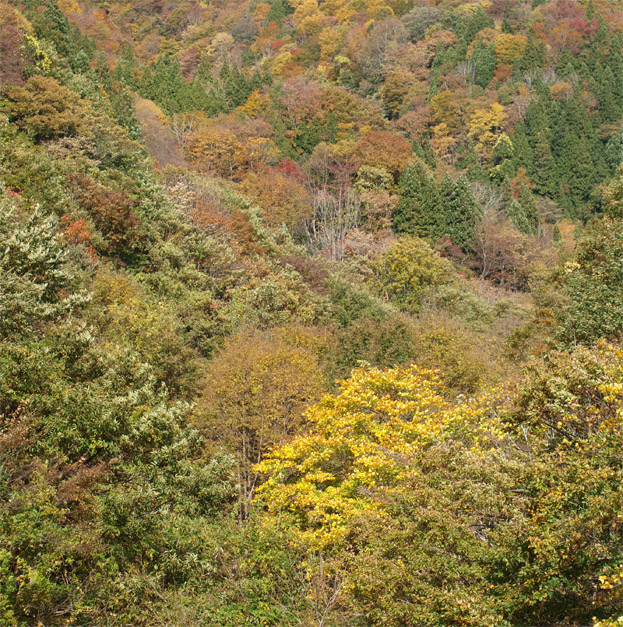 f0108399_23444494.jpg