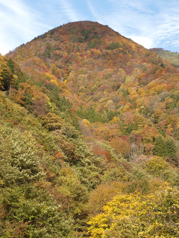 f0108399_23454584.jpg