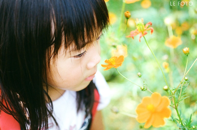 b0124900_15385566.jpg