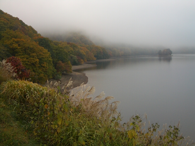 b0172805_0354229.jpg
