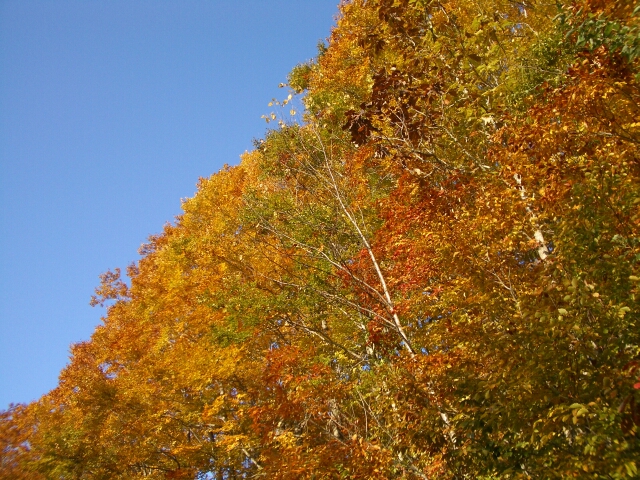 b0172805_0361531.jpg