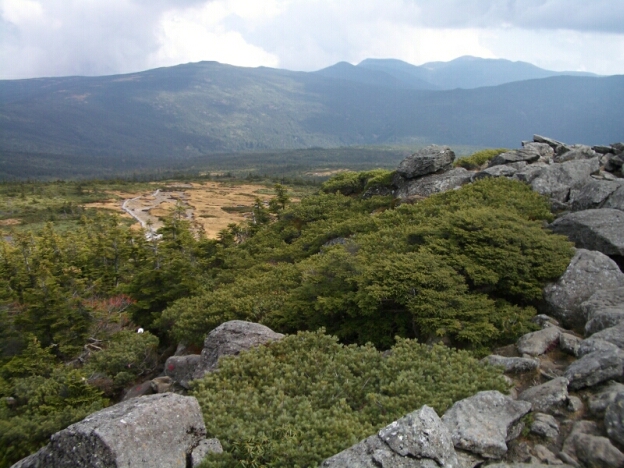 b0172805_0373857.jpg
