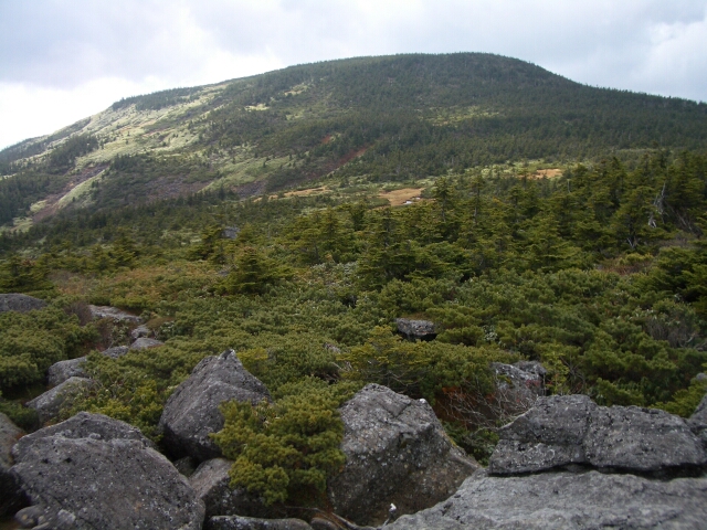 b0172805_038675.jpg