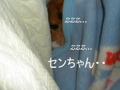 c0205806_1564952.jpg