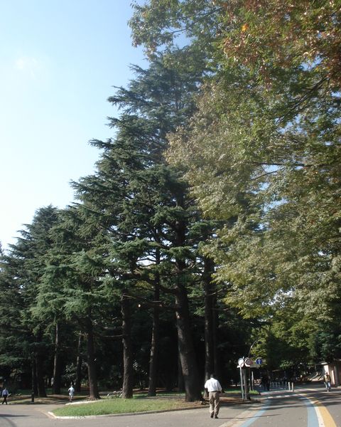 f0084806_2258552.jpg