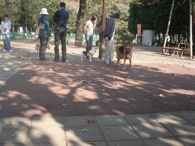 f0084806_23124291.jpg