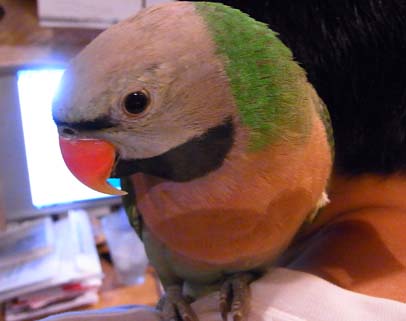 c0133013_143134.jpg