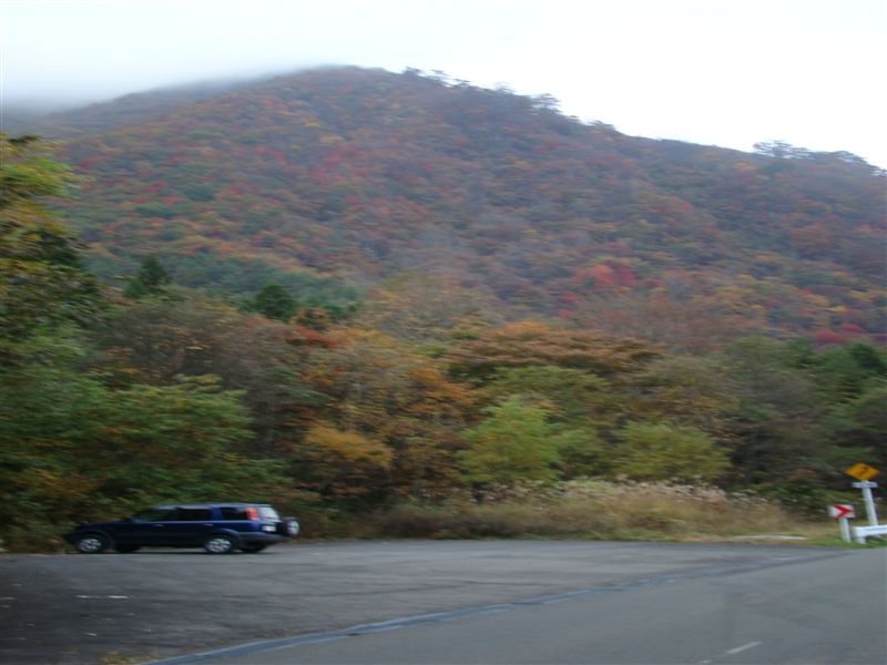 a0127015_2127228.jpg