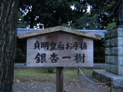 c0219815_203831.jpg