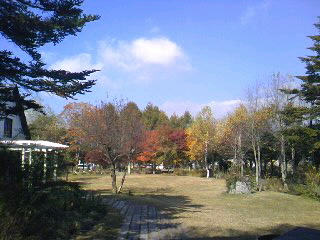 d0024220_10524177.jpg