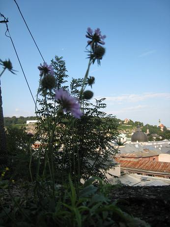 f0166824_224632.jpg