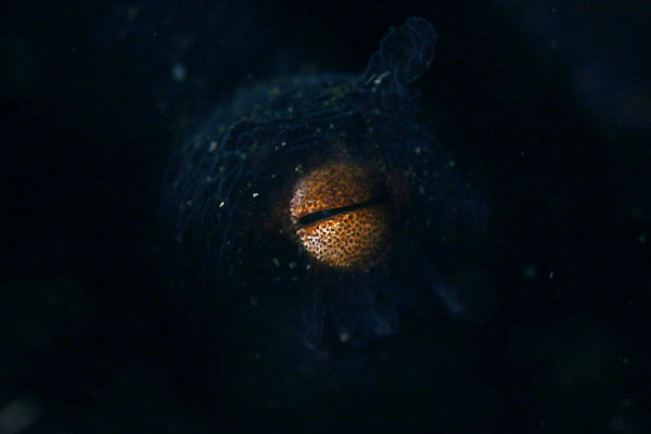 b0044726_8262211.jpg