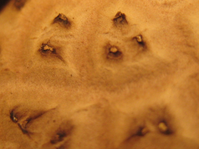d0147727_647486.jpg