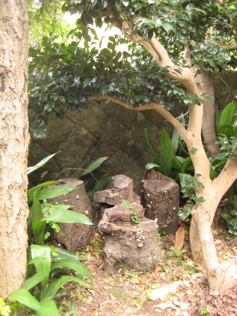 d0147727_752360.jpg