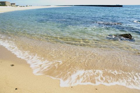 f0151327_164393.jpg