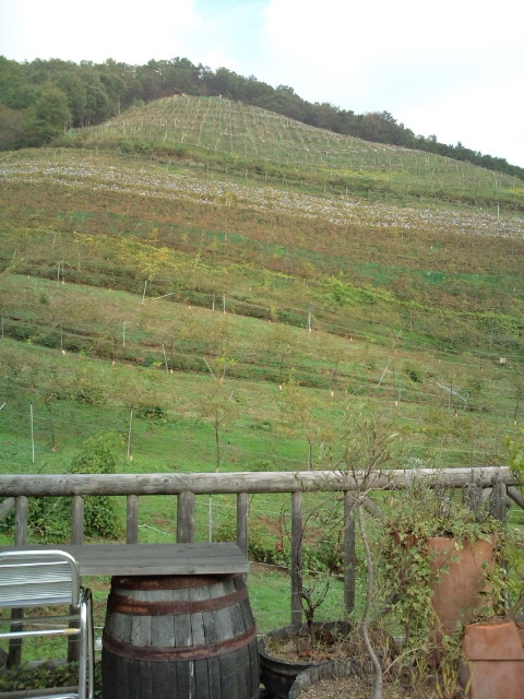 d0077029_183711100.jpg