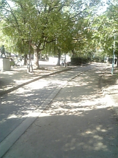 f0028132_1215699.jpg