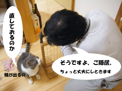 f0008935_22283020.gif