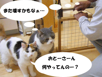 f0008935_22283874.gif