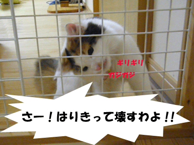f0008935_22284890.gif