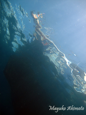 e0027447_2036514.jpg