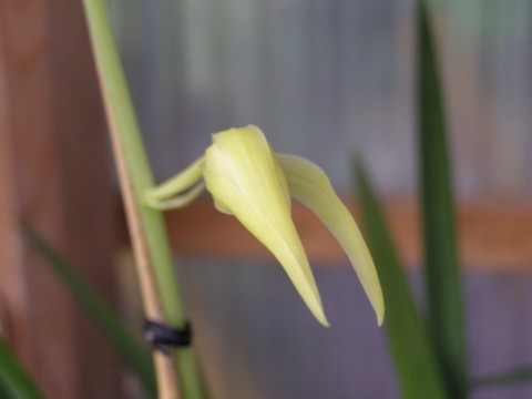 f0043750_193261.jpg