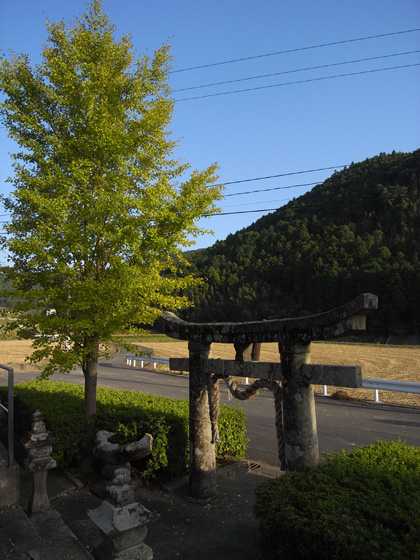 b0049152_184616.jpg