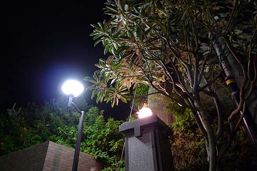 e0050753_2323593.jpg